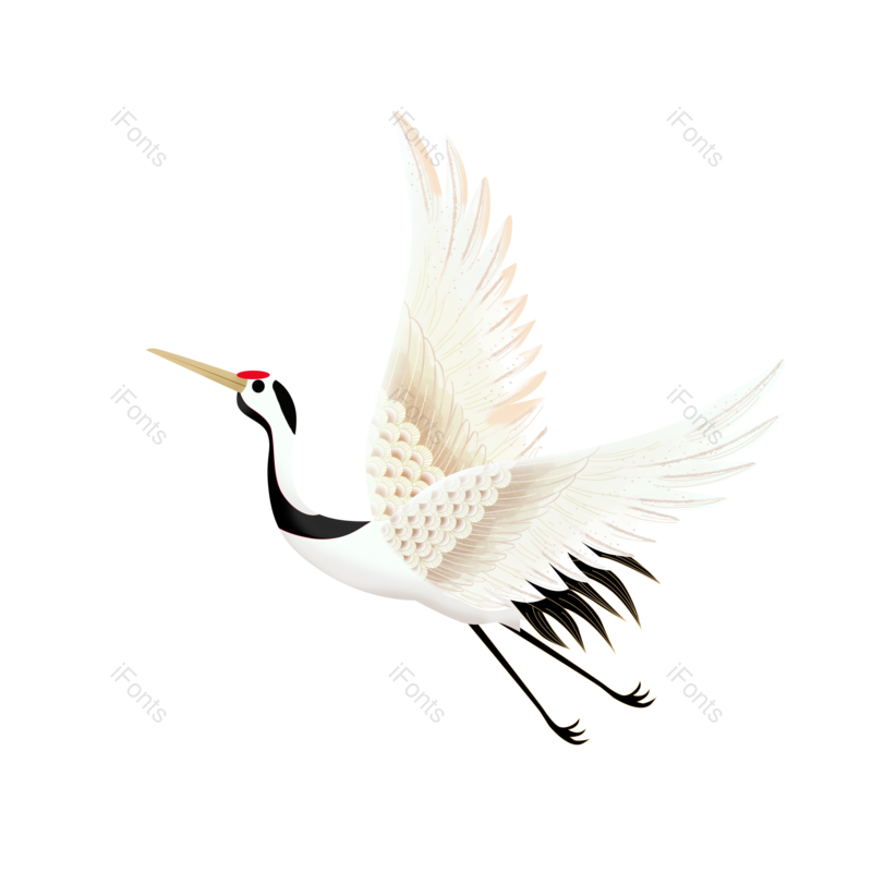 仙鹤图片,插画元素,飞鸟PNG,插画素材免抠素材